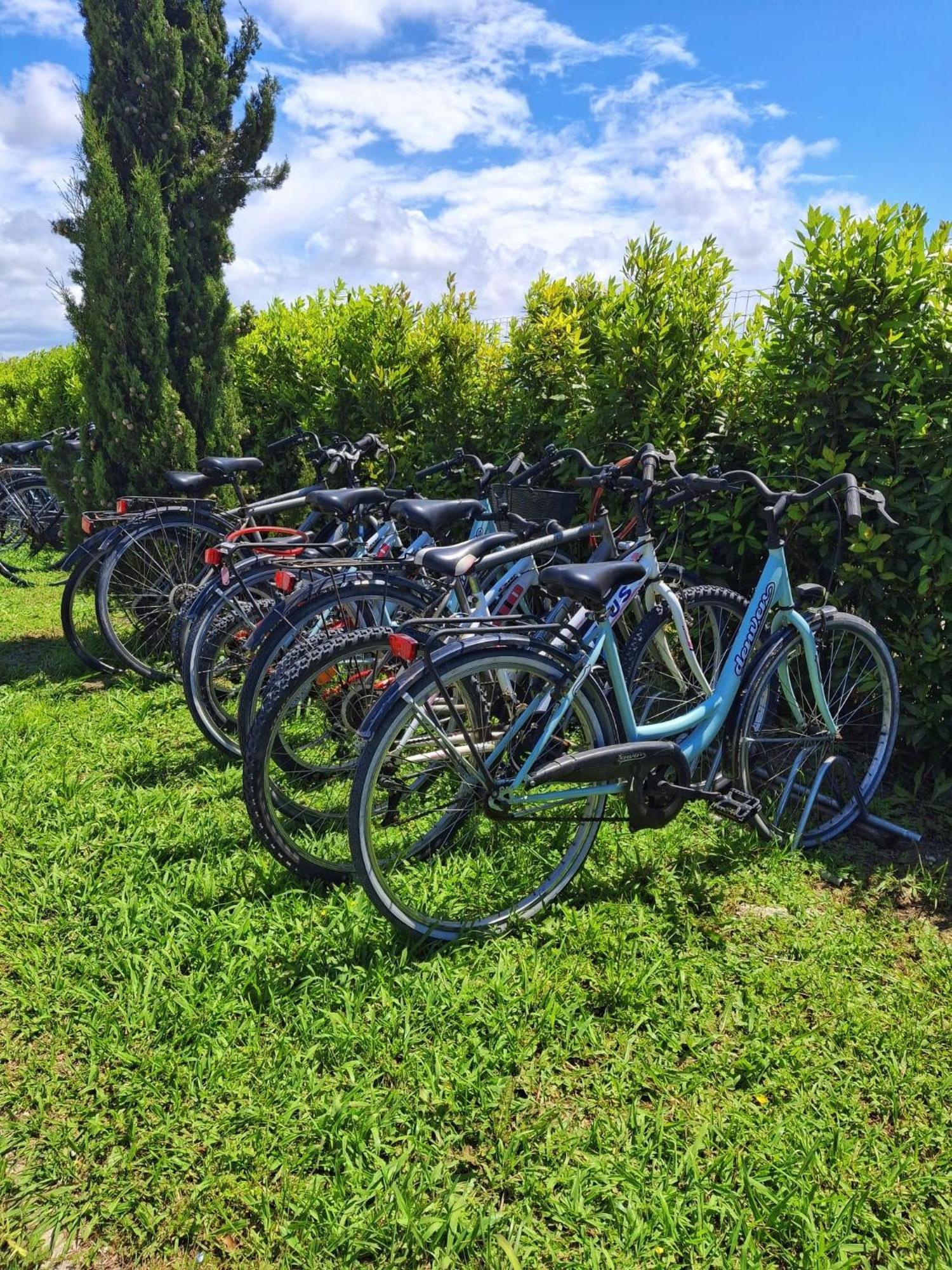 Delfino Tuscany Resort Marina di Cecina Luaran gambar